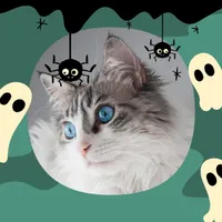 Halloween Photo Frame icon