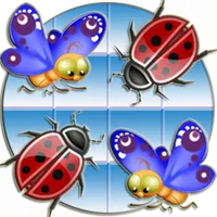Matching Brain Game icon