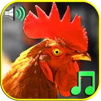 Funny Alarm Clock Ringtones icon