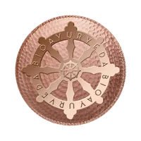 BIOAYURVEDA icon