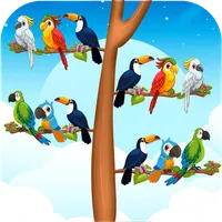 Bird Sort Color Match Games icon
