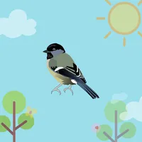 Bird Sound icon