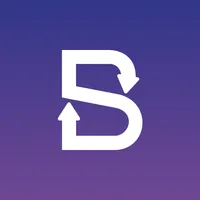Bizzsetu icon