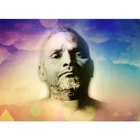 Bhagawan Nityananda icon