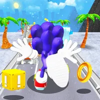 Blue Hedgehog Dash Adventure icon