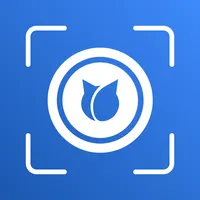 BlueCats Loop Mobile icon