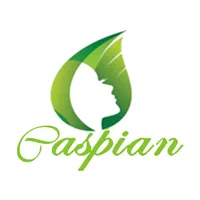 Caspian icon