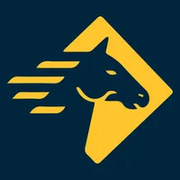 Paladin Risk Solutions BlueSky icon