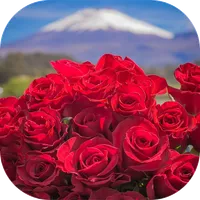 Beautiful flowers pictures icon