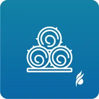 BF Algodão icon