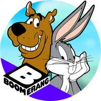 Boomerang icon