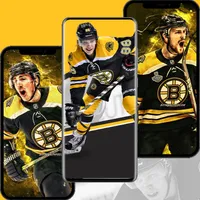 Boston Bruins Wallpapers FANS icon