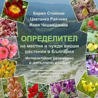 Key vascular plants icon