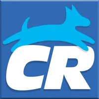Clean Run icon