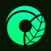 belingo icon