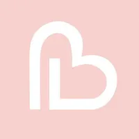 BrideDay Wedding Planner icon