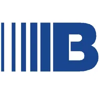 Brinks VSO icon