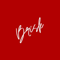 Brisk: Fast Delivery icon