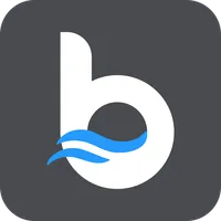 Brizo icon