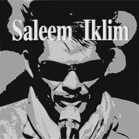 Lirik Saleem Iklim Offline icon