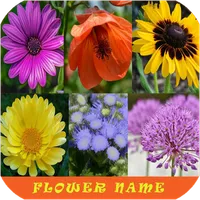 Learn Flower Name icon