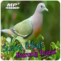 Suara Pikat Burung Punai icon