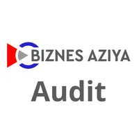 BA Audit icon