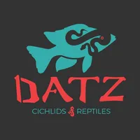 Datz Ratz icon