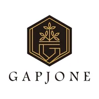 GAPJONE icon