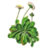 Plantbook icon