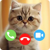 Cat Fake Call & Cat Wallpaper icon