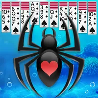 Spider Solitaire icon