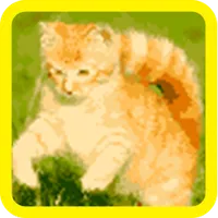 Cat Color Number - Pixel Art icon