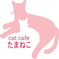 猫カフェたまねこ icon