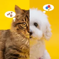 Cat Translator-Dog Translator icon