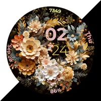 CC Rose Gold One Watch Face icon