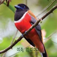 ಹಕ್ಕಿ ಪ್ರಪಂಚ icon