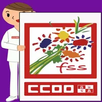 FSS - CCOO CYL icon