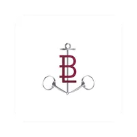 Centre équestre Biscarrosse icon
