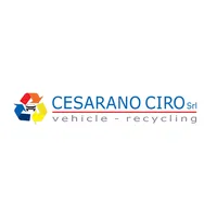 Cesarano Ricambi icon