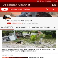 Doberman Channel icon
