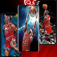 Chicago Bulls NBA FANS icon