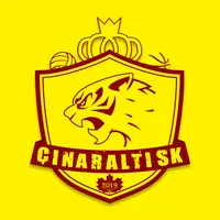 ÇınaraltıSK icon