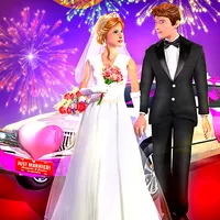 VIP Limo Service - Wedding Car icon