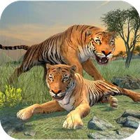 Clan of Tigers icon