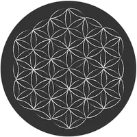 Diamoci un Taglio icon