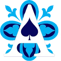 CleanAce icon