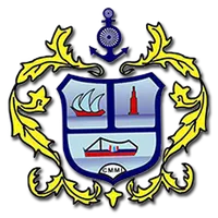 CMMI icon