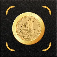 Coin Identifier - Coin snap icon