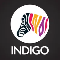 Indigo Paint Preview icon